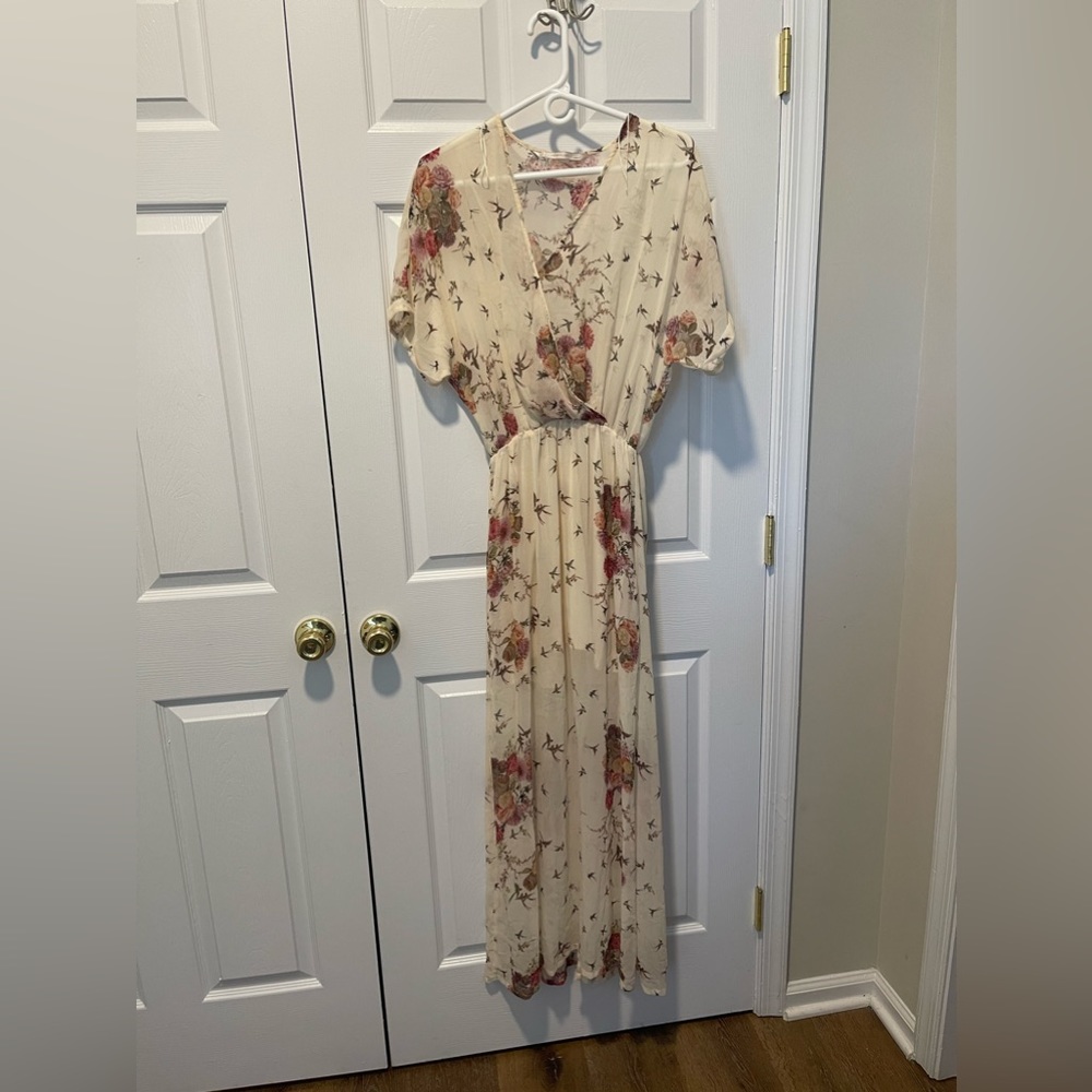 Beautiful Zara sheer dress.